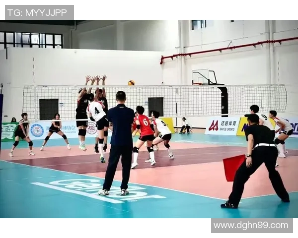 赛后分析：上海排球队与重庆排球队实力对比及比赛亮点回顾