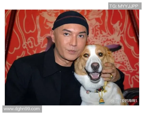 足球明星孤儿的传奇人生与奋斗历程揭秘