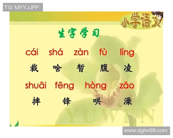 足球明星带你认识生字的魅力与激情,探索语言与运动的完美结合